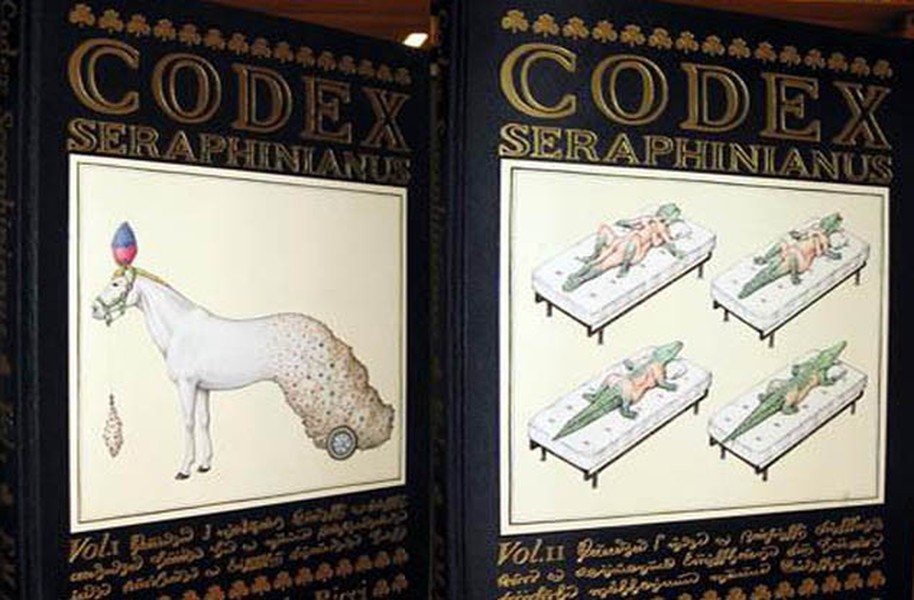 Cuốn sách “Serafini Codex” của kiến trúc sư người Itlay Luigi Seraphinianus xuất bản năm 1981 được viết bằng một ngôn ngữ mà không ai hiểu và có nhiều hình ảnh minh họa kỳ quái. Do đó, nhiều người đánh giá nó là cuốn bách khoa toàn thư kỳ lạ nhất thế giới. Ông Seraphinianus đã công bố cuốn sách này như một công trình khoa học nhưng không ai công nhận điều đó. Điều đặc biệt của cuốn sách này là tác giả đích thân vẽ ảnh minh họa cho tác phẩm trong suốt 2 năm.